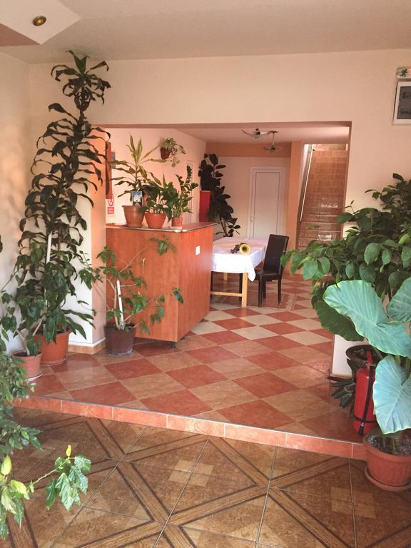 Pensiunea Cetatea Boghiş Exteriör bild